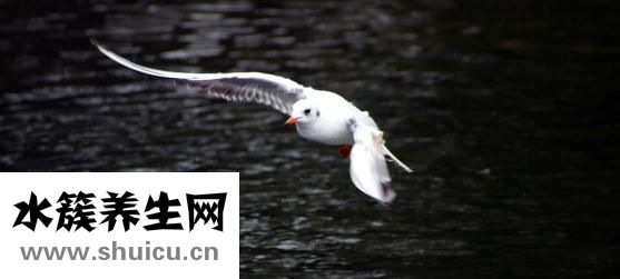 怎么送鬼神六爻