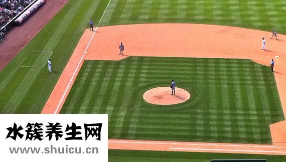 沒有工作我該怎么辦