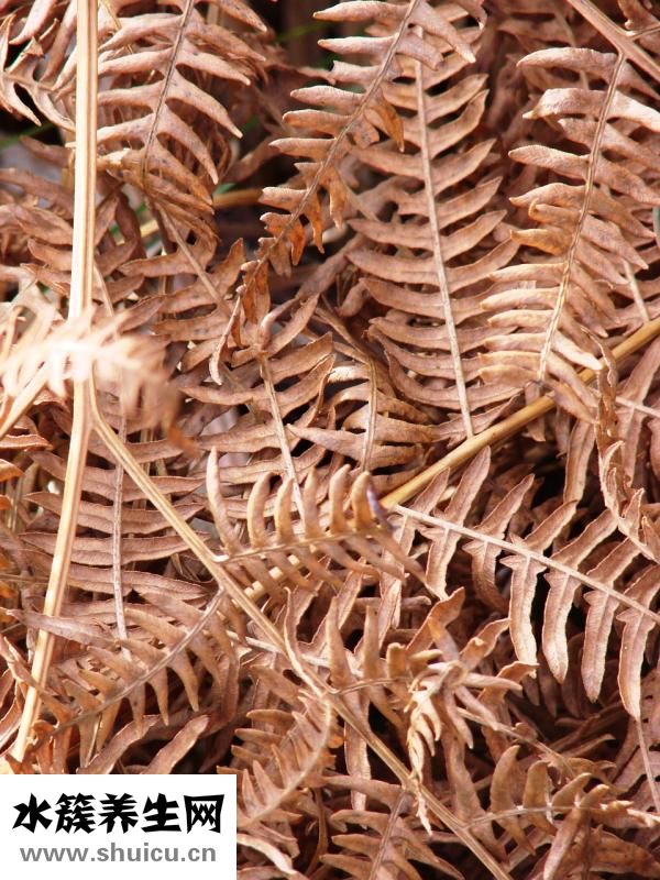 懷孕長(zhǎng)雀斑怎么辦