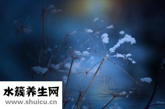 眼膜敷完后怎么