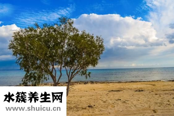 大腳指痛是怎么回事