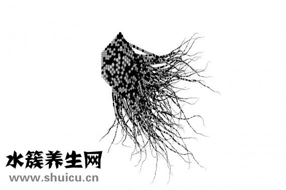 腰突腳酸怎么辦