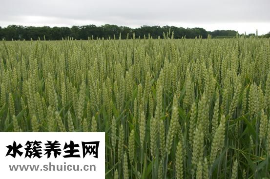 奶粉店怎么做活動