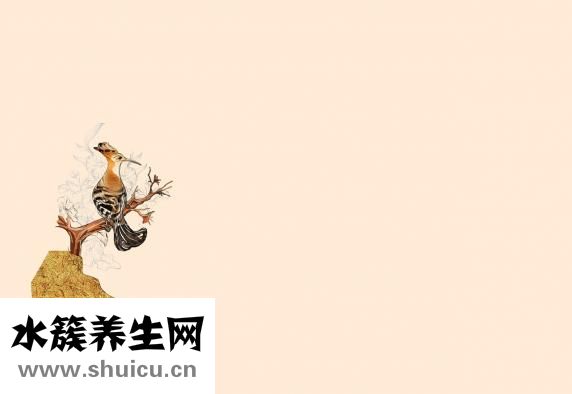 手繪煎餅怎么練