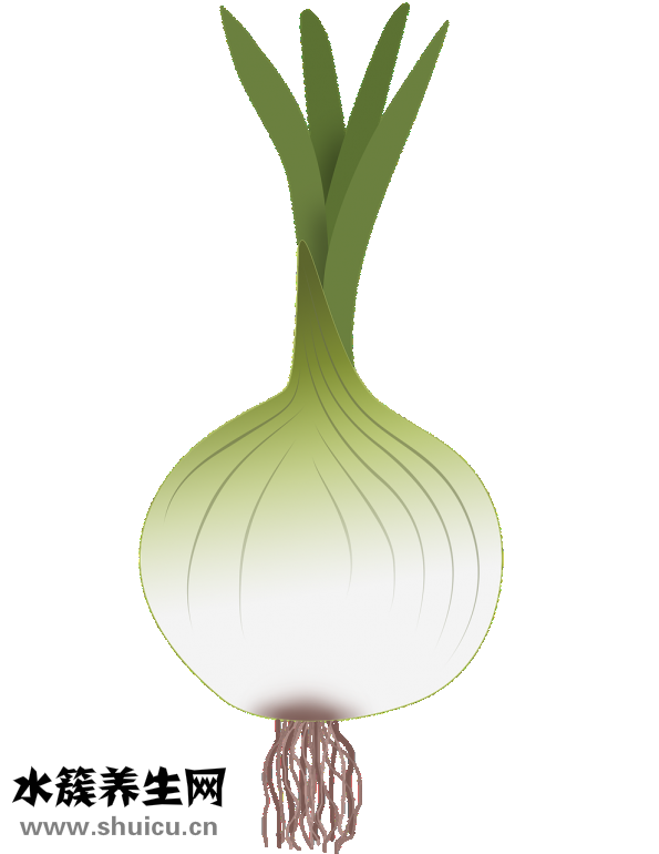 豬肝辣子怎么炒