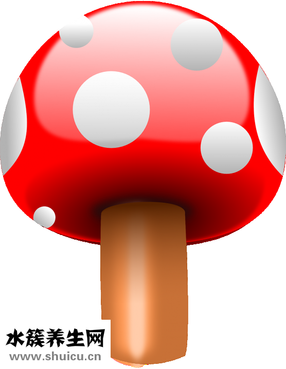 頭皮突然很癢怎么辦