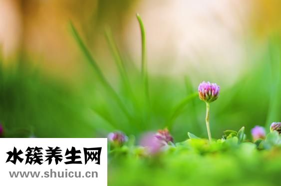 媽媽生氣了怎么哄