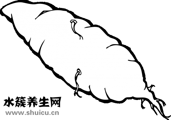 怎么煮粥有營養(yǎng)