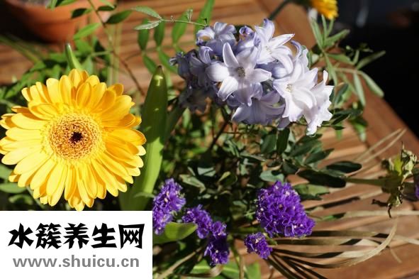 艾絨架怎么使用