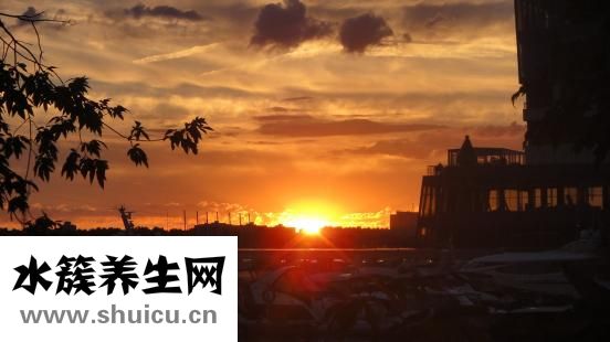 怎么自制山楂酒