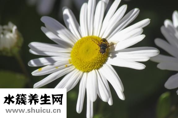 怎么讓嘴巴變好看