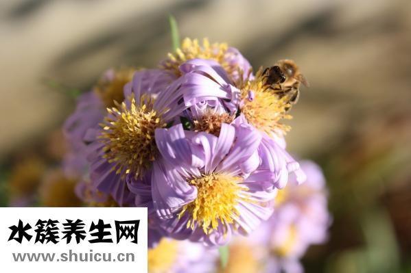 怎么讓嘴巴變好看