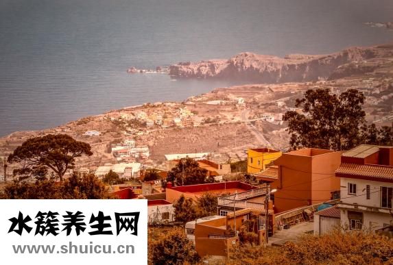 怎么在河里抓小魚