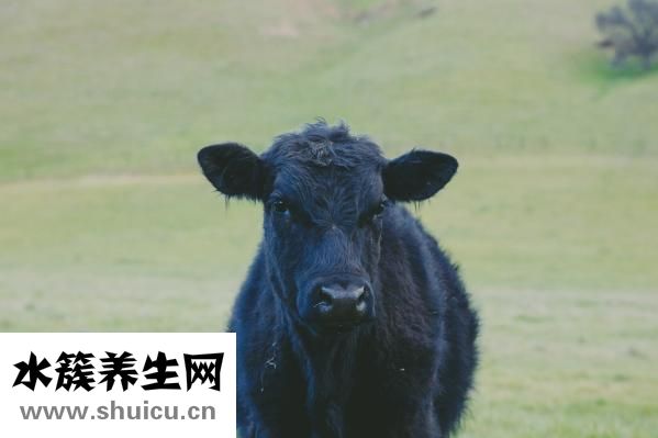 怎么腌制黑椒牛肉粒