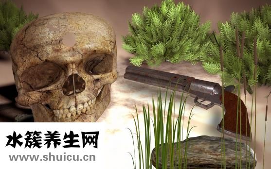 摔到骨頭怎么補