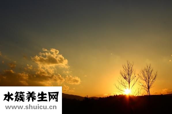 怎么哄老公句子