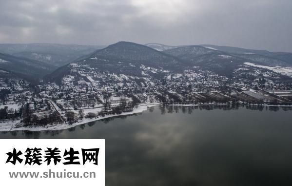 月餅多了怎么處理