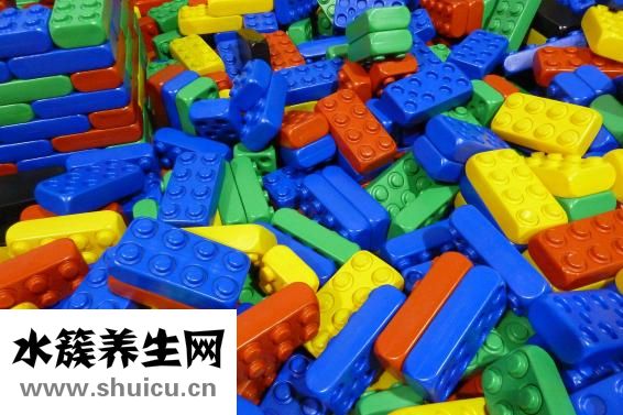 幼貓害怕以后怎么辦