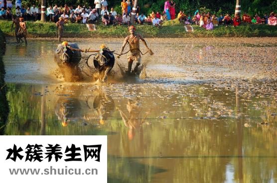 腋窩下的脂肪怎么減