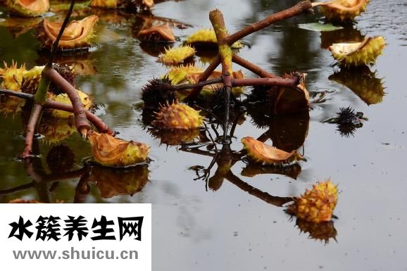 腎氣虛該怎么好