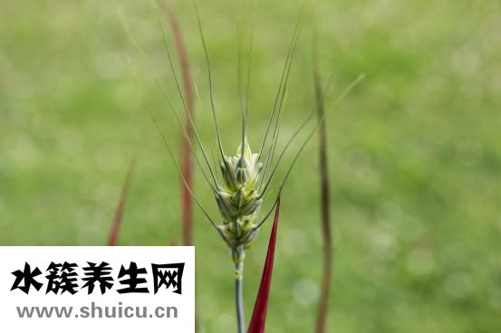 奶粉店怎么做活動