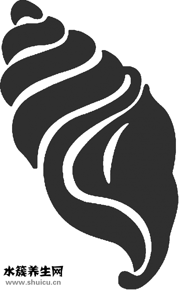 眉毛怎么淡了女孩