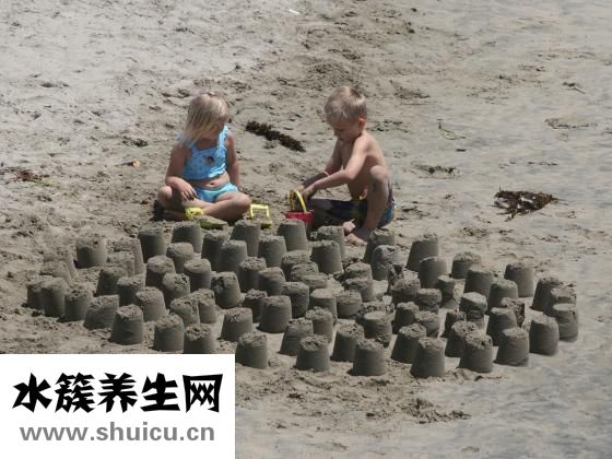 母獒不兇怎么辦