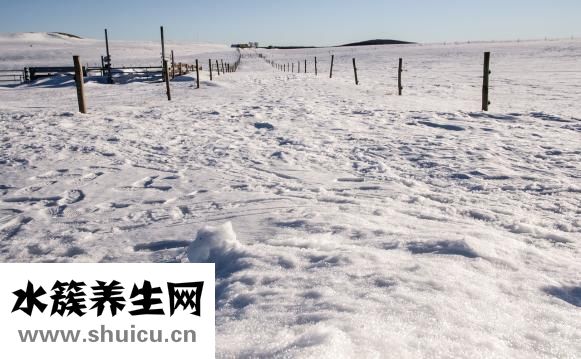 月餅多了怎么處理