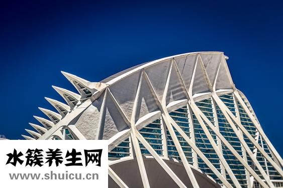 怎么辦理火化證