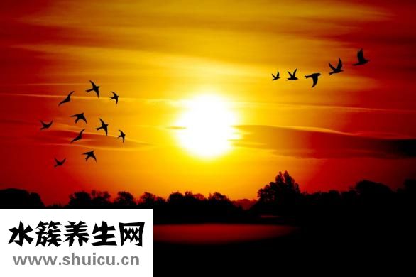 怎么才算溜肩膀