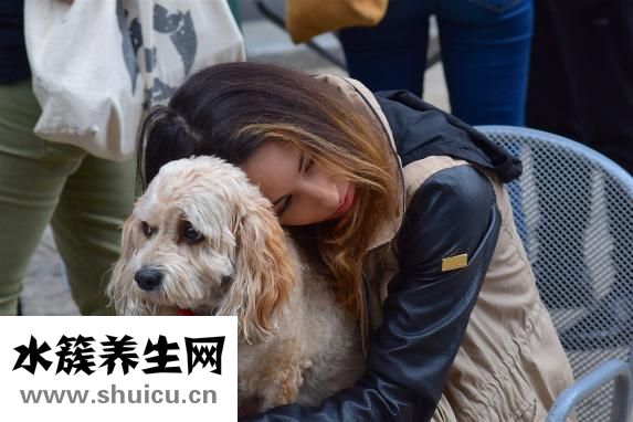 怎么給狗狗喂水