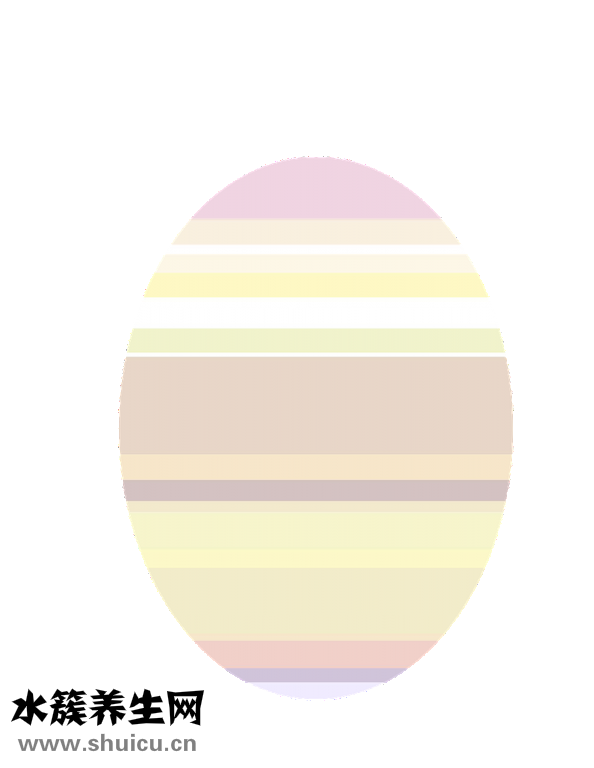 豬腰子怎么煮面