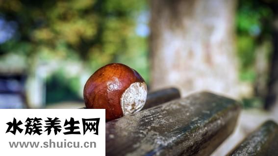 腎氣虛該怎么好