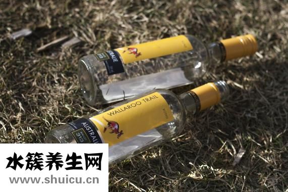 摔到骨頭怎么補