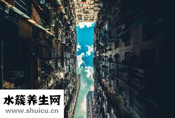 怎么讓別人不嫉妒我