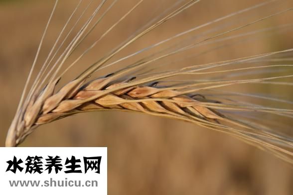 奶粉店怎么做活動