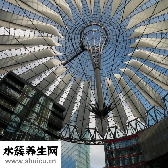 怎么辦理火化證