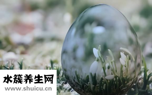 豬腰子怎么煮面