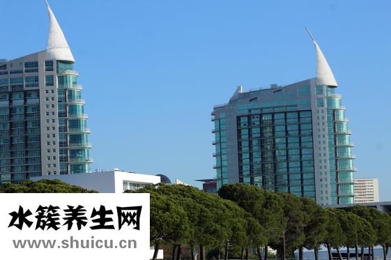 怎么裝修寵物店