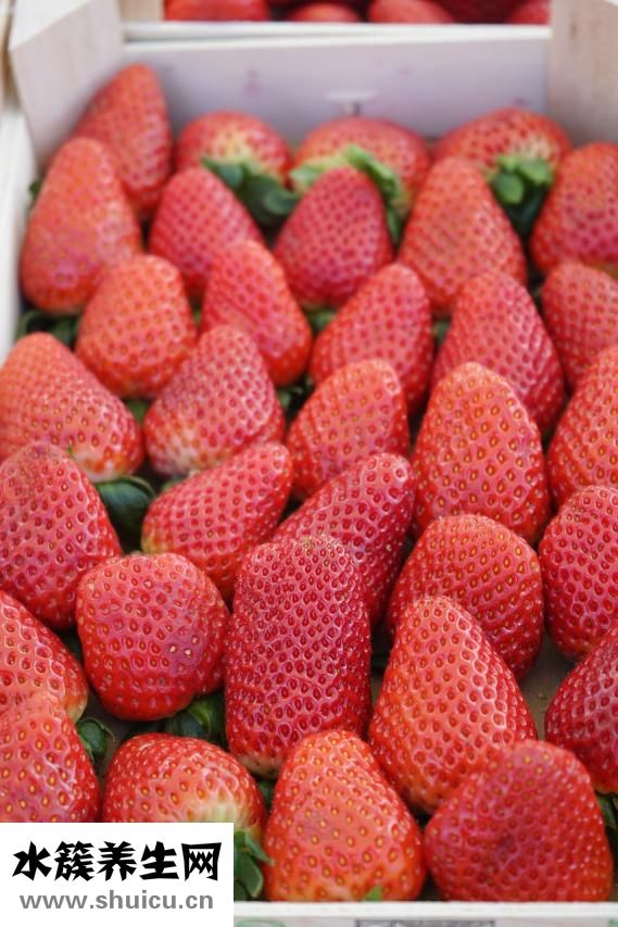 草莓怎么用澎大