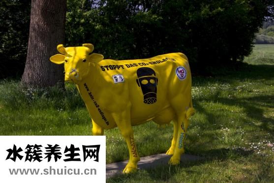 怎么腌制黑椒牛肉粒