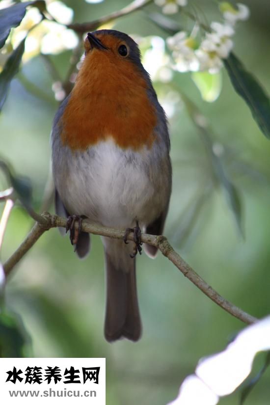 找不到眼鏡怎么辦