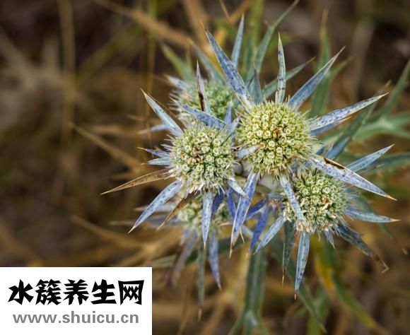 墻上粘勾怎么用