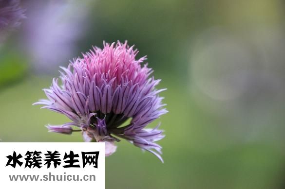 孕婦雞眼怎么根治