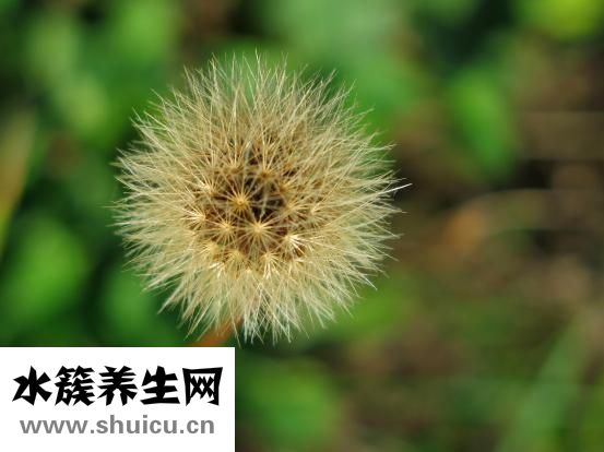 舌頭又紅又痛怎么辦