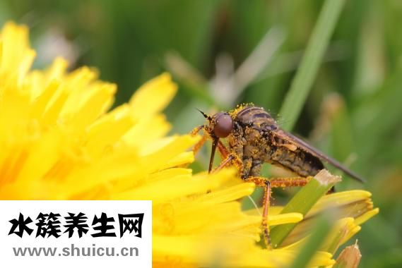 打麻將怎么不放炮