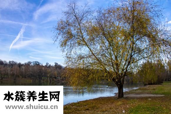 美麗雅拖把頭怎么換