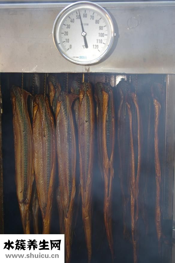 異煙肼片怎么吃