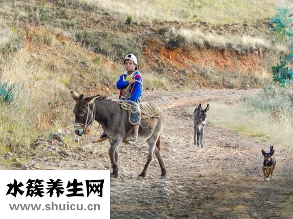 用啞鈴怎么減肥