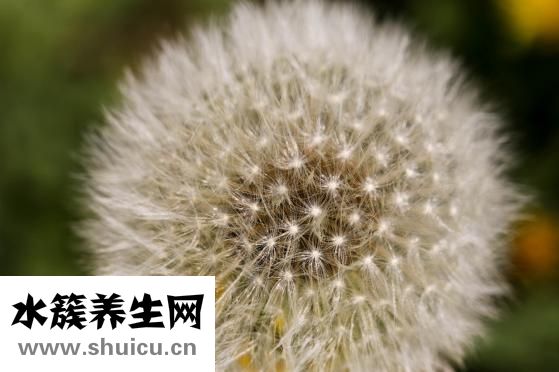 舌頭又紅又痛怎么辦